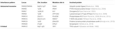 Parkinson’s Disease: Biomarkers, Treatment, and Risk Factors